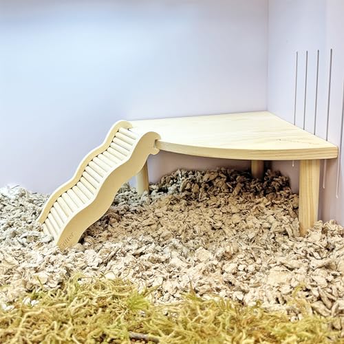 Exotic Nutrition Corner Riser Platform - Durable Wooden Platform for Small Animals Such as Hamsters, Degus, Gerbils, Rats and mice