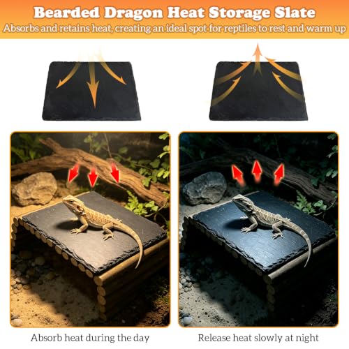 Reptile 15.7x5.9″Bendable Wooden Bridge with 5.9x5.9″Slate Rock Bearded Dragons Basking Platform Set Climbing Hideout Basking Terrace and Hide Cave for Lizard Gecko Flexible Habitat Decor - size: S: 15.7x5.9″Wooden Bridge,5.9x5.9″Slate Rock