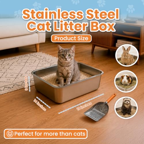 Stainless Steel Cat Litter Box with Scoop, 17.5 x 14 x 6 in – Heavy Duty Metal Litter Pan with High Sides for Medium Cats and Kittens