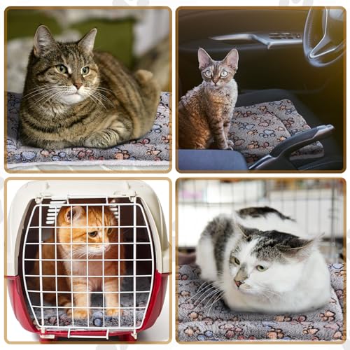 4 Pack Ultra Soft Dog Cat Bed Mat Small Animal Guinea Pig Bed with Cute Print Reversible Fleece Dog Crate Kennel Pad Cozy Washable Thickened Hamster Pet Beds Mat(23 x 18 Inches,Gray) - color: Gray, size: 23 x 18 Inches