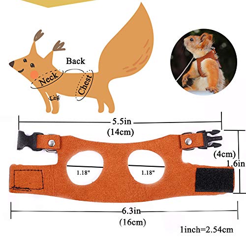 Squirrel Traction Rope with 1.8m Lead Leah, Adjustable Small Animal Walking Harness, Anti-Biting Chain Rope Vest Strap for Hamster Gerbil Rat Mouse Ferret Chinchilla and Small Animals - color: Brown