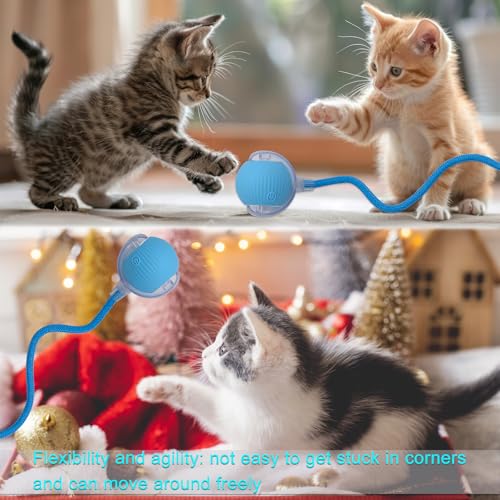 Interactive Cat Dog Toy Ball with LED Light, Automatic Rolling(Blue) | String Tail and LED Light Design, Motion Activated, Suitable for Interactive Indoor Pet Play and Exercise - color: Blue