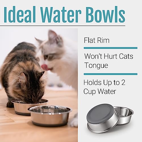 Nonslip Stainless Steel Dog Cat Bowls, 2 US Cup, 2 Count | No slide silicone bottom, Dishwasher safe, Easy to clean, Stackable design - size: 2 Cup