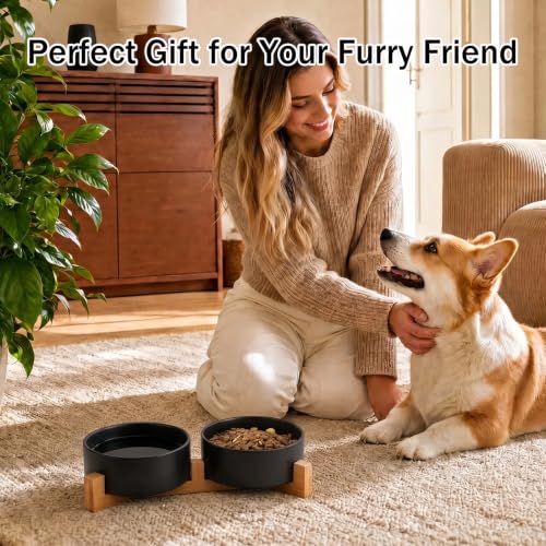 MateeyLife Ceramic Dog and Cat Bowls with Stand, 2-Pack Food and Water Bowl Set - Non-Slip Pet Bowls for Small & Medium Size Dogs，28.7OZ(Black) - color: Black, size: M-3Cup