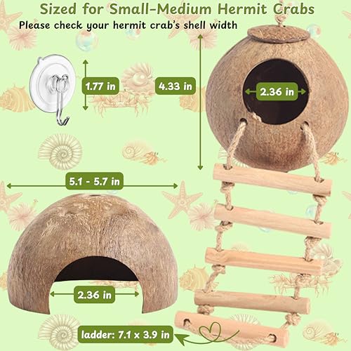 Hermit Crab Coconut Hideout Climbing Toys, Hermit Crab Coconut Shell Hut and Hideout with Ladder, Climbing Ladder Bridge Ramp Hammock Toys, Small Animals Tank Accessories (Coconut Ladder)