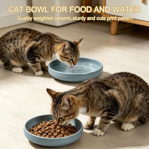 Shallow Elevated Cat Bowls with Bamboo Stand, 6.1 Inch Wide Ceramic Cat Dish Whisker Friendly, 2 Pack Pet Food and Water Plates - color: Grey elevated