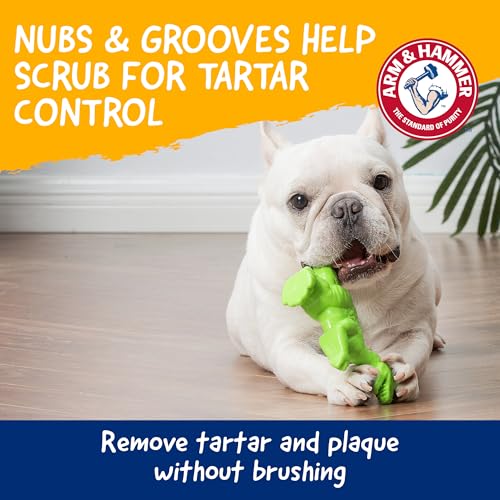 Arm & Hammer Nubbies T-Rex Dog Dental Chew Toy, Mint Flavor | Nylon construction, baking soda infused, reduces plaque and tartar without brushing, moderate chewers - color: Green T-Rex, size: 1 Count