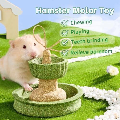 Hamiledyi Guinea Pig Chew Toys Rabbit Chew Toys for Teeth Natural Hamster Treats Prevent Teeth Overgrowth for Syrian Hamsters Gerbils Rat Bunny Chinchilla Small Animals - style: Style A