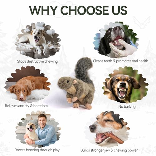 ALL FOR PAWS Squeaky Dog Toys, Plush Squirrel Dog Toy, Stuffed Animal Dog Toys for Small Medium Large Dogs, Soft Puppy Chew Toy with Squeaker - color: Squirrel(S)