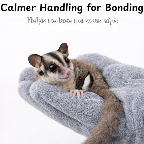 Sugar Glider Cage Accessories Pet Handling Gloves, 2 Soft Bonding Mitts + 2 Mini Feeding Spoons, Cage-Side Care Set Grooming, Treat Portioning Daily Handling, For Sugar Glider Hamster Hedgehog (Grey) - color: Grey