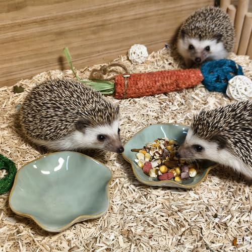 2PCS Ceramic Hamster Food Dish,Lotus Leaf Guinea Pig Food Bowls | Rats Anti-Turning Feeding Dishes for Gerbils Mice 4.5in,Shallow Chew-Proof Bowl, Non-Slip Base, Easy to Clean - size: 2Pcs Green