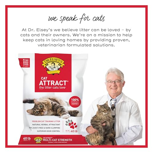 Dr. Elsey's Cat Attract Clumping Clay Cat Litter 40 lb. Bag - size: 40 lb