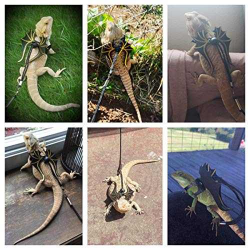 Bearded Dragon Leash Harness Set, 3 Size Harness, Dinosaur Wing | Soft Leather Bearded Dragon Harness, Durable Lizard Leash, Cool Wing, Fit Small Reptile, Great for Outdoor Walking