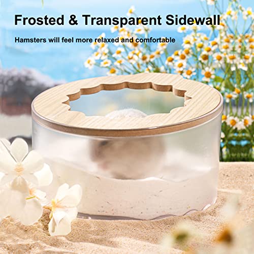 Hamster Sand Bath Box, Small Animal Bathroom & Digging Room, Easy to Clean, for Dwarf & Syrian Hamster, Gerbil - color: Transparent