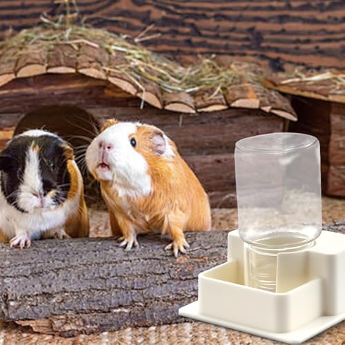 1 Pack Hamster Water Bowl Automatic Water Dispenser for Hamster Syrian Mice Gerbil Rodent (White)