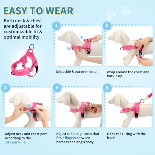 Lukovee Small Dog Harness and Leash Set, No Pull Soft Padded Vest | Both Neck & Chest Adjustable, Reflective, Puppy Harness with 4ft Lightweight Anti-Twist Dog Leash for Small Dogs (Pink, M) - color: B-pink, size: M ( Chest 19.7'' ~ 29.1'')