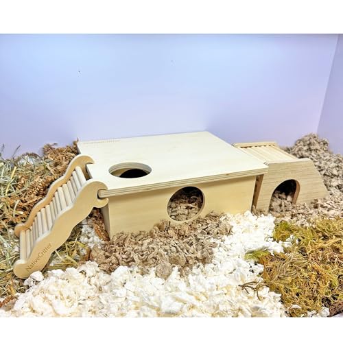 Chamber Box - Fun & Unique Cage Accessory for Dwarf Hamsters, Golden Hamsters, Degus, Gerbils and Other Small Animals. (Large) - size: Large
