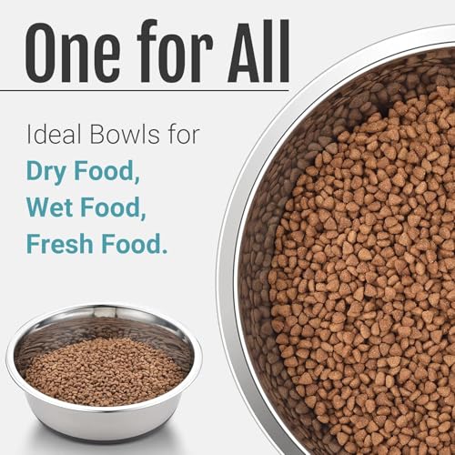 Nonslip Stainless Steel Dog Bowls, 5.7 US Cup, 2 Count | No slide silicone bottom, Dishwasher safe, Easy to clean, Stackable design - size: 5.7 Cup