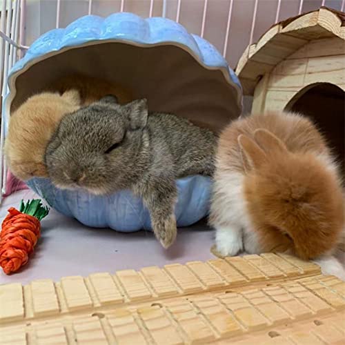 Small Animal Hideout Extra Large Ceramic Shell Shape Guinea Pig House Chinchilla Igloo Habitat Hut Cave Summer Bed Cage Accessories for Hedgehog Rabbit Hamster Gerbil Rat (XL (9.5''x7''x7.9''), Blue) - color: Blue