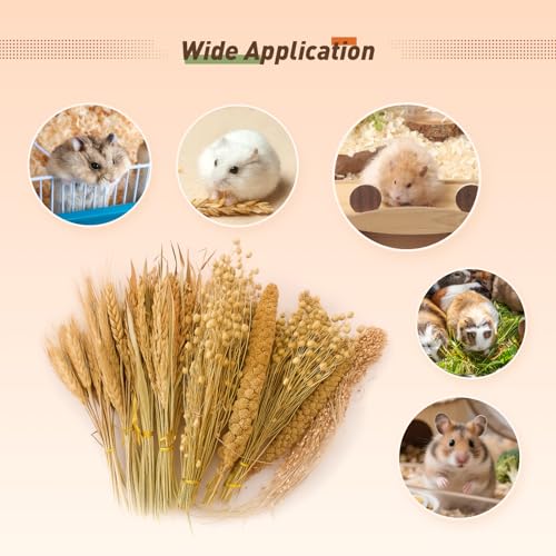 YeCheerful Hamster Sprays and Forage Accessories for Cages, Pet Mouse Decor Textures (5) - color: colorA