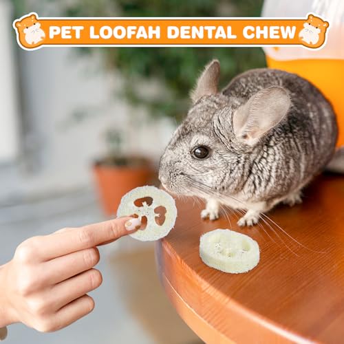 Toddmomy Rabbit Chew Toys 20pcs Loofah Teeth Grinding Toys Small Animal Tooth Cleaning Tools for Guinea Pig Chinchilla Hamster