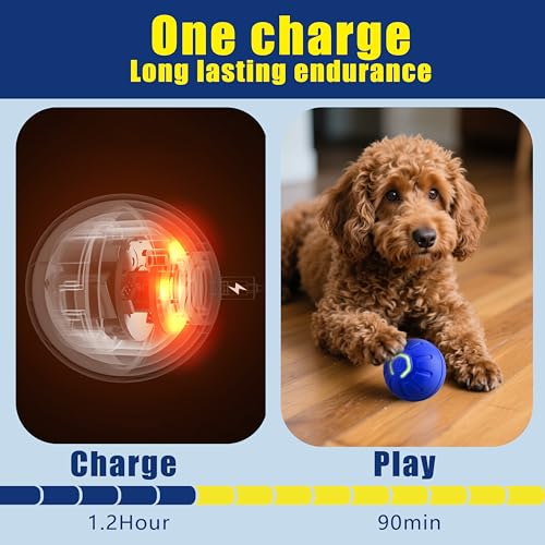 Interactive Self-Moving Pet Toy Ball - Motion-Activated Auto Rolling, Military-Grade Chew Resistant, USB-C Rechargeable for Small Dogs & Cats (Orange, Small) (Blue, Small)