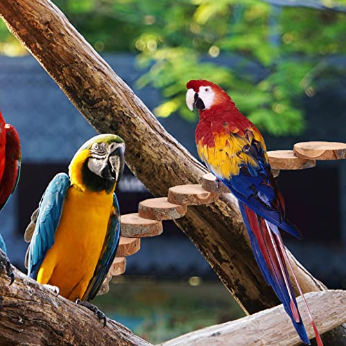 Kisangel Natural Wood Bird Ladder for Cage, Bendable Parrot Perch Bridge, Climbing Toy & Exercise Stand for Small Animals, Budgies, Parakeets, Cockatiels