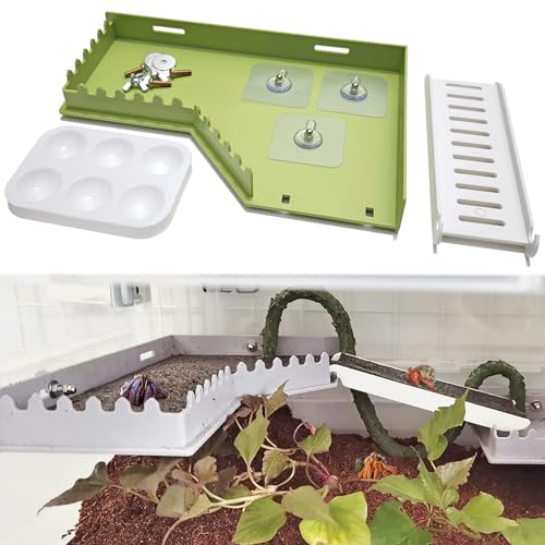 Hermit Crab Accessories - Platform with Ladder and Food Dish, Hermit Crab Climbing Toys, Habitat Supplies and Tank Accessories for Reptiles, Hamsters, Geckos, Small Lizards - color: Green