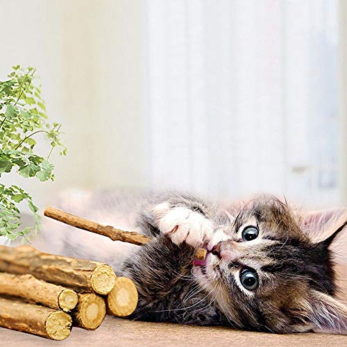 WoLover 20 PCS Matatabi Sticks, Silvervine Chew Toys for Cats | Natural Catnip Sticks, Cleaning Teeth Molar Chew Toy for Cat Kitten Kitty Dental Care - size: 20 PCS