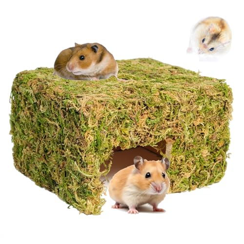 Hamster Hideout - Large, Natural Moss, Handcrafted for Syrian Hamsters, Rats & Guinea Pigs, Hermit Crab,Hedgehogs,Lizards & Other Reptiles（Square, Large） - size: Square, Large