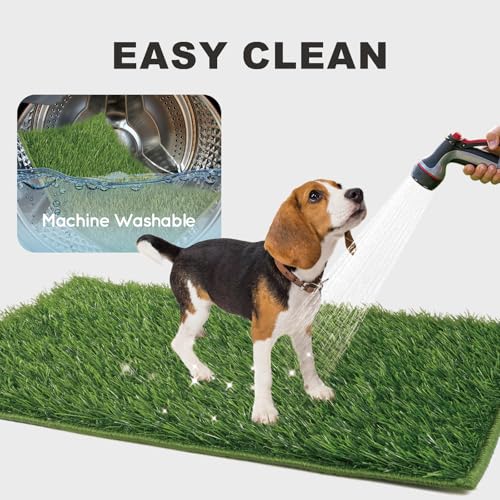 Grass Pee Pads for Dogs Potty, Artificial Grass Patch Odor Free | 2PCS Fake Grass with Fully Permeable Backing for Fast Drainage, Indoor Potty Grass Hemmed Edge Turf, Easy Clean - size: L - 32'' x 22'' for Dog＜ 28" Length