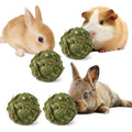 Hamiledyi 4 Pcs Rabbit Chew Ball Timothy Grass Ball Small Animal Activity Play Chew Toys Teeth Grinding for Bunny Rabbits Hamster Guinea Pigs Gerbils Chinchillas - style: Round 4 PCS