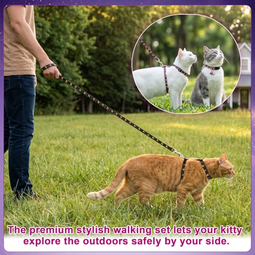 2 Pack Cat Harness and Leash, Escape Proof Adjustable Kitten Harness | Lightweight Soft and Comfortable for Cat Safe Walking and Travel, Multicolor - color: Black Purple