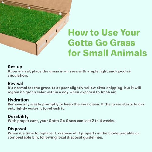Gotta Go Grass for Small Animals – Natural Real Grass Bedding & Pet Resting Pad, Grass Potty Pad for Rabbits, Guinea Pigs, Hamsters, and Small Pets, Odor Absorbent Grass Mat (With Tray 16" x 24") - size: With Tray 1- Pack