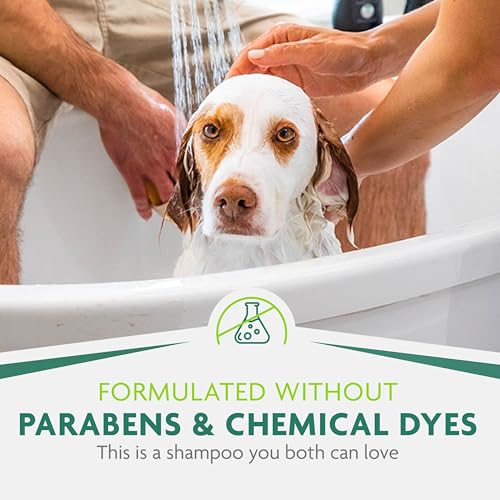 FURminator Ultra Premium deShedding Shampoo for Dogs Helps Reduce Excess Shedding, 16 oz - size: 16 oz, style: Shampoo