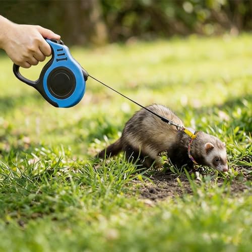 Retractable Harness and Leash Set for Ferrets, Rabbits, Guinea Pigs and Small Pets Lightweight 3M/9.84FT Leash with Non-Slip Handle & 2pcs Rope Vests (Blue, 9.84ft) - color: Blue, size: 9.84ft
