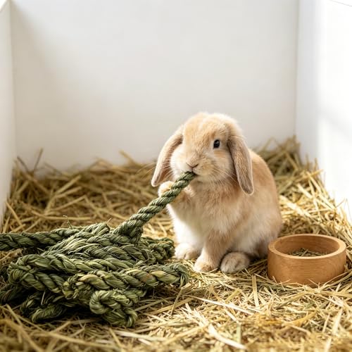 Rabbit Timothy Hay Toy for Bunny Small Animal Treats Natural Grass Stick Chew Toys Snacks Molar Teeth Grinding for Guinea Pigs Chinchillas Hamsters (12pcs)