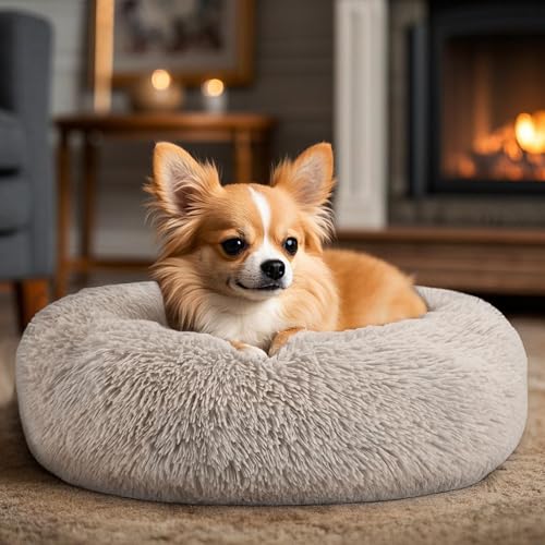 Dogs Bed for Small Dogs, Anti-Anxiety Washable Round Bed (Brown, 24.0" L x 24.0" W x 8.0" Th) - color: Brown, size: 24.0"L x 24.0"W x 8.0"Th