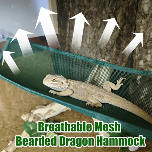 2 Pack Bearded Dragon Hammock,Breathable Mesh Collapsible Reptile Hammock Lounger Climbing Tank Accessories for Lizard Gecko Snakes Axolotls Chameleon (Green) - color: Green