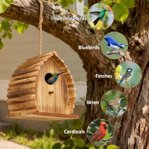 Bird House for Outside Hanging Natural Wooden Birdhouse | 6.3 * 4.7 * 7.4 inch Hanging Bird House for Bluebird Humming Finch Cardinal Wren