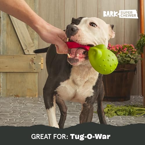 BarkBox Tug Tied Toad Dog Toy | for Tough Chewers - Durable Rubber Design, Perfect for Tug-of-War - color: Tug Tied Toad-Large