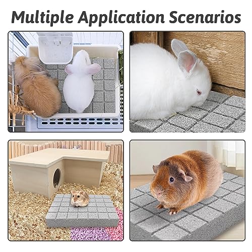 Hamiledyi Rabbit Scratch Foot Pads - 4 PCS Natural Small Animal Lava Stone Teeth Grinding & Scratching Pad for Rabbit, Guinea Pig, Rat, Gerbil, Chinchilla, Hedgehog - color: White-4PCS