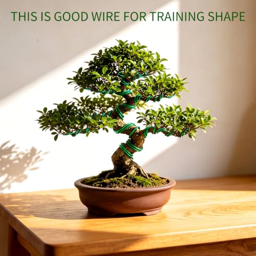 Mudder 5 Roll Aluminum Bonsai Training Wire Tree 2/2.5/3/4/6mm 42 Feet Total with Bonsai Wire Cutter Anodized Training for Holding Branches Small Trunks(Green) - color: Green, size: 2/2.5/3/4/6mm