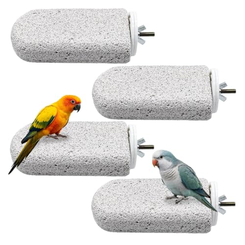 4PCS Bird Beak Grinding Stone,Parrot Perch Stands,Parakeets Platform Chewing Toys Calcium Pumice Lava Foot Claws Trimmer Climbing Ledge for Cockatiel Budgie Conure Lovebird(L,Grey) - color: 4Pack Grey | L