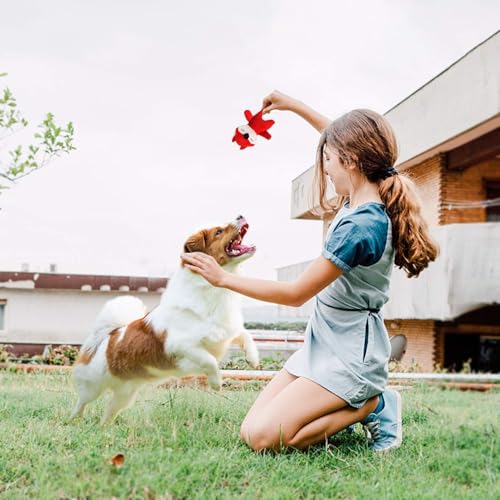 Squeaky Dog Toy for Puppy Small Medium Dogs, Stuffed Samll Dog Toys 12 Pack | Soft Plush Pet Doggie Toy Set, Cute Safe Pet Chew 12 Pack for Puppies Teething - color: 12 pack