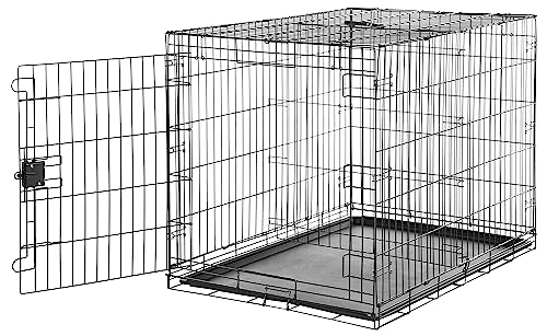 Amazon Basics Durable, Foldable Metal Wire Dog Crate with Removable Tray, Single Door, Divider Panel, 42 x 28 x 30 in, Black - size: 42.0"L x 28.0"W x 30.0"H, style: Single Door w/ Divider