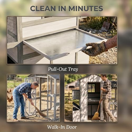 PawHut 147" Extra Large Chicken Coop Wooden Hen House for 8-10 Hens Gray | Outdoor Poultry Hutch with Run, Removable Tray, Nesting Box, Ramp for Duck Rabbit, Ventilated Windows