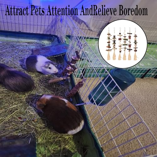 Bunny Chew Toys, Hamster Rabbit Cage Hanging Chew Toys, Natural Apple Wood Bunnies Treats, Improve Small Animal Teeth Health for Guinea Pig Chinchilla Ferret Rats Gerbil (6pcs)