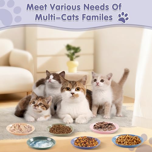 6 Pack Cat Food Bowl, Ceramic Cat Bowls, Anti Whisker Fatigue Cats Bowl Set | 5.5 Inches Shallow Wide Kitten Plates for Food and Water (CaiSe-B) - color: CaiSe-B