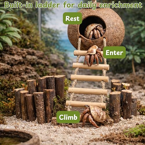 Hermit Crab Coconut Hideout Climbing Toys, Hermit Crab Coconut Shell Hut and Hideout with Ladder, Climbing Ladder Bridge Ramp Hammock Toys, Small Animals Tank Accessories (Coconut Ladder)